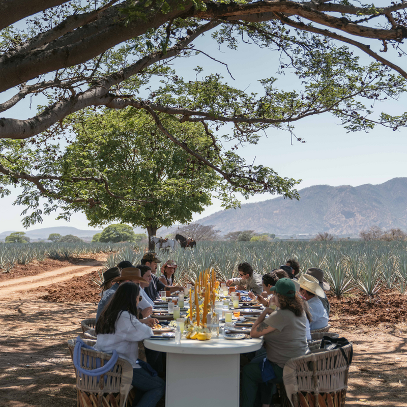 A Mexican-Inspired Happy Hour: Embracing Sobremesa