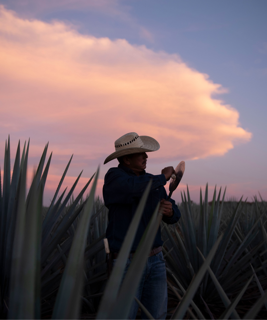 From Earth to Bottle: Laelia’s Commitment to Nature